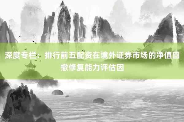 深度专栏：排行前五配资在境外证券市场的净值回撤修复能力评估因