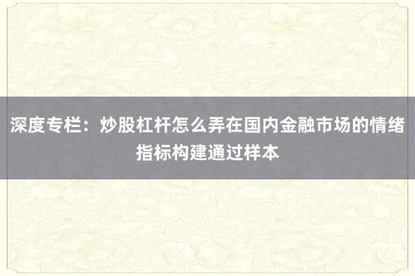 深度专栏：炒股杠杆怎么弄在国内金融市场的情绪指标构建通过样本