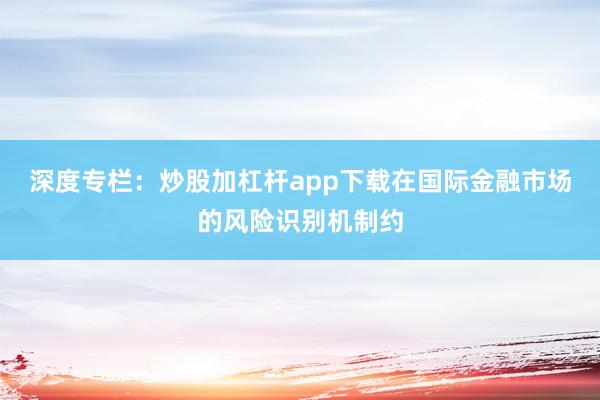 深度专栏:炒股加杠杆app下载在国际金融市场的风险识别机制约
