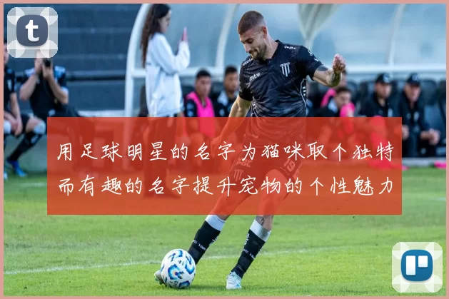 用足球明星的名字为猫咪取个独特而有趣的名字提升宠物的个性魅力