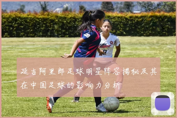 延吉阿里郎足球明星阵容揭秘及其在中国足球的影响力分析