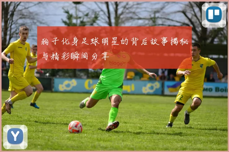 狗子化身足球明星的背后故事揭秘与精彩瞬间分享