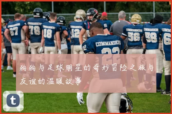 狗狗与足球明星的奇妙冒险之旅与友谊的温暖故事