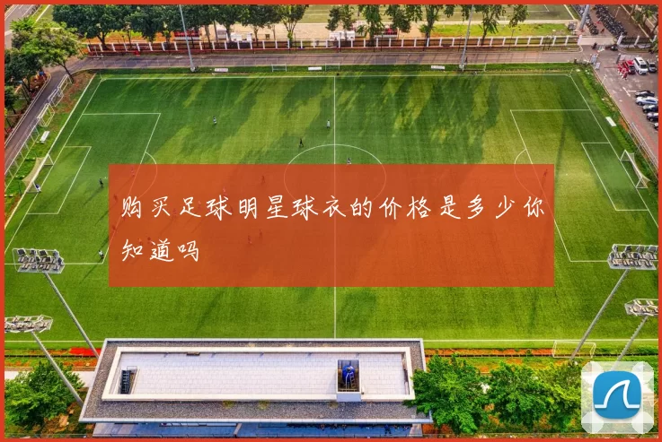 购买足球明星球衣的价格是多少你知道吗