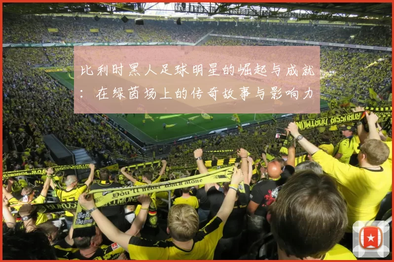 比利时黑人足球明星的崛起与成就：在绿茵场上的传奇故事与影响力