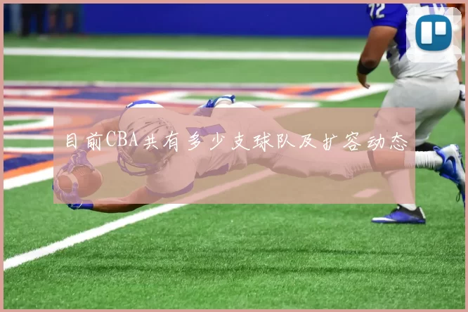 目前CBA共有多少支球队及扩容动态