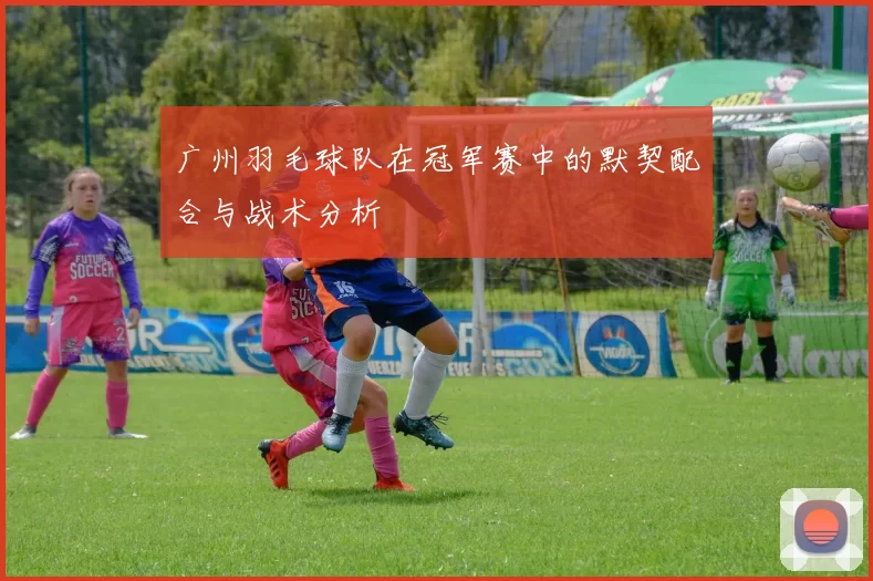 广州羽毛球队在冠军赛中的默契配合与战术分析