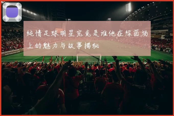 纯情足球明星究竟是谁他在绿茵场上的魅力与故事揭秘