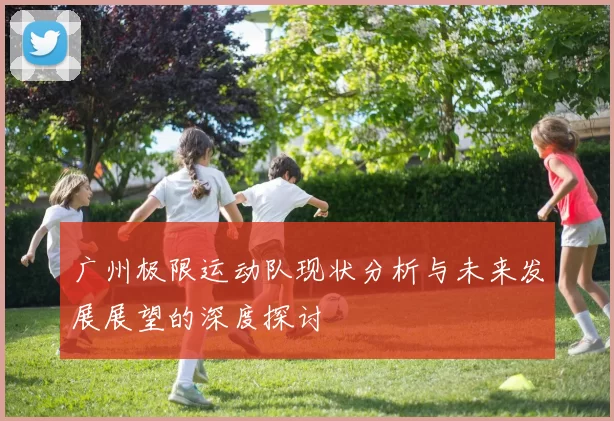 广州极限运动队现状分析与未来发展展望的深度探讨