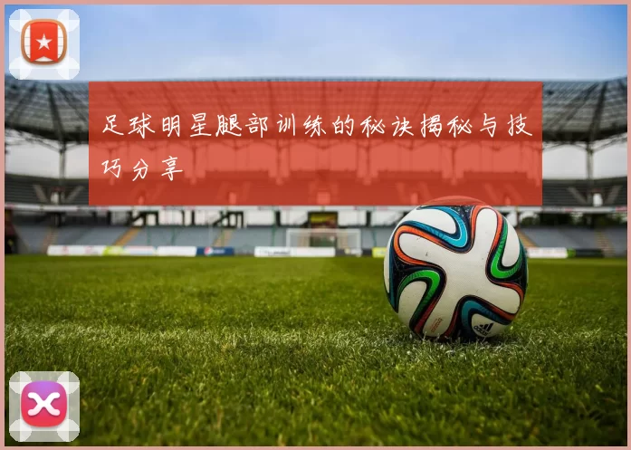 足球明星腿部训练的秘诀揭秘与技巧分享