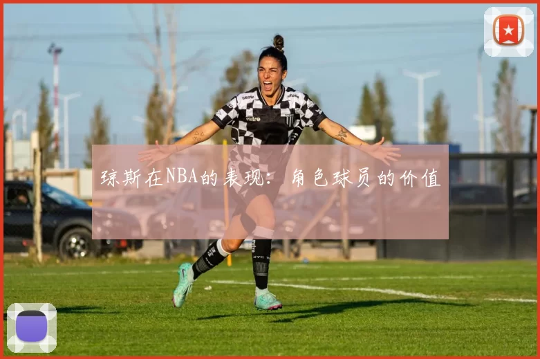琼斯在NBA的表现：角色球员的价值