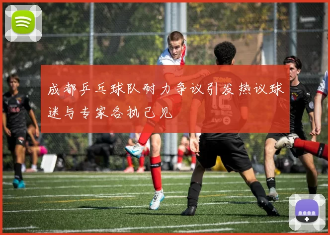 成都乒乓球队耐力争议引发热议球迷与专家各执己见