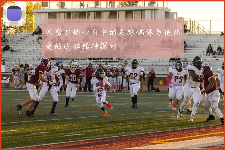 汉密尔顿心目中的足球偶像与他热爱的运动精神探讨