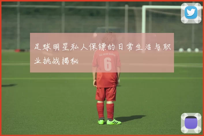 足球明星私人保镖的日常生活与职业挑战揭秘