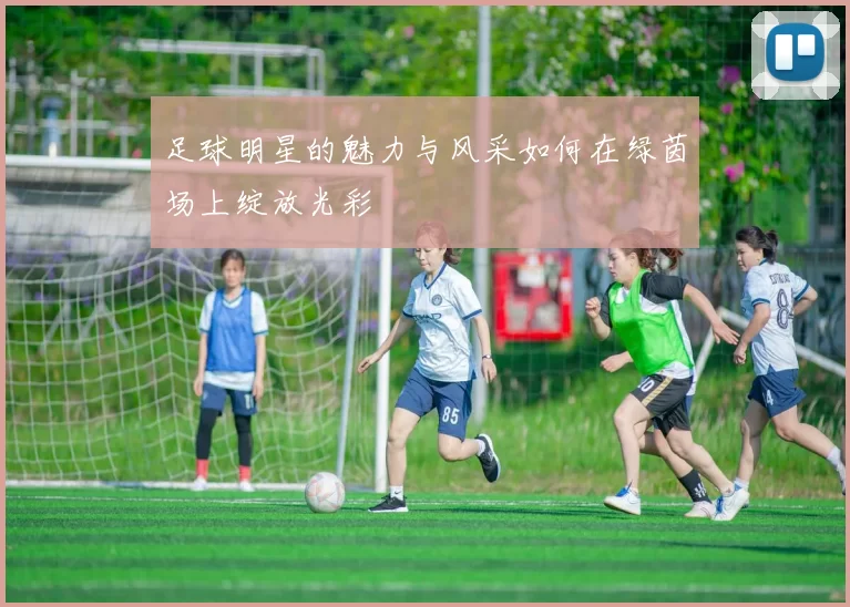 足球明星的魅力与风采如何在绿茵场上绽放光彩