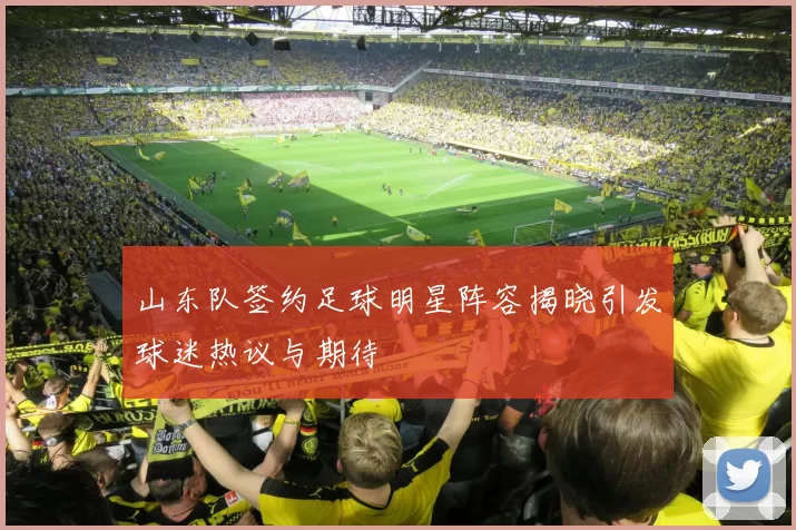 山东队签约足球明星阵容揭晓引发球迷热议与期待