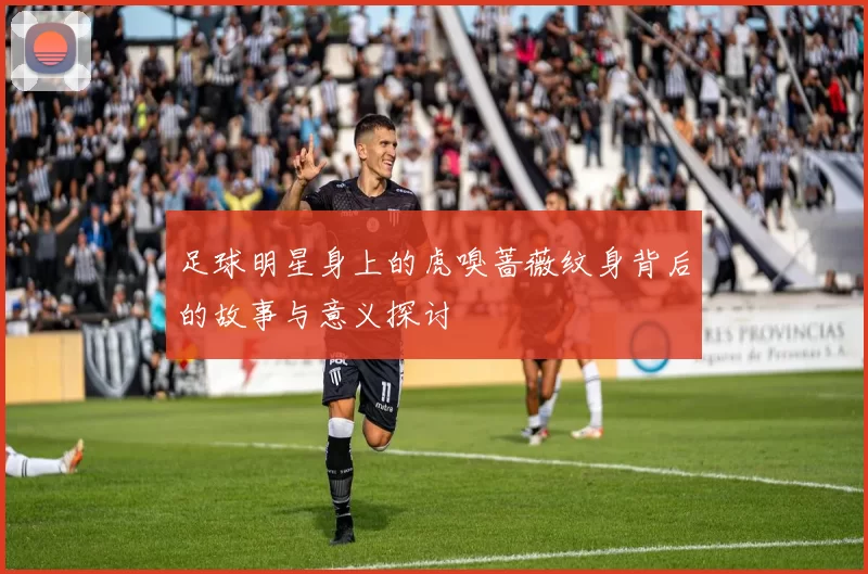 足球明星身上的虎嗅蔷薇纹身背后的故事与意义探讨