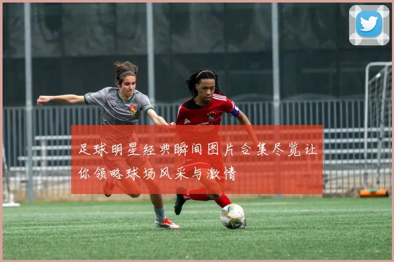 足球明星经典瞬间图片合集尽览让你领略球场风采与激情
